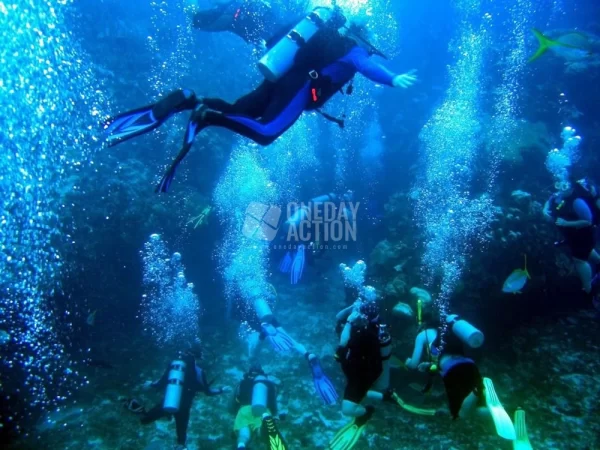Ölüdeniz Tüplü Dalış Turu | Ölüdeniz Koyları | Tek Dalış | Memnuniyet Garantili!